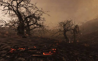 Сгоревший лес