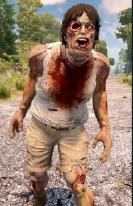 Распухший ходок