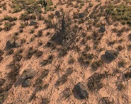 Индийский могильник