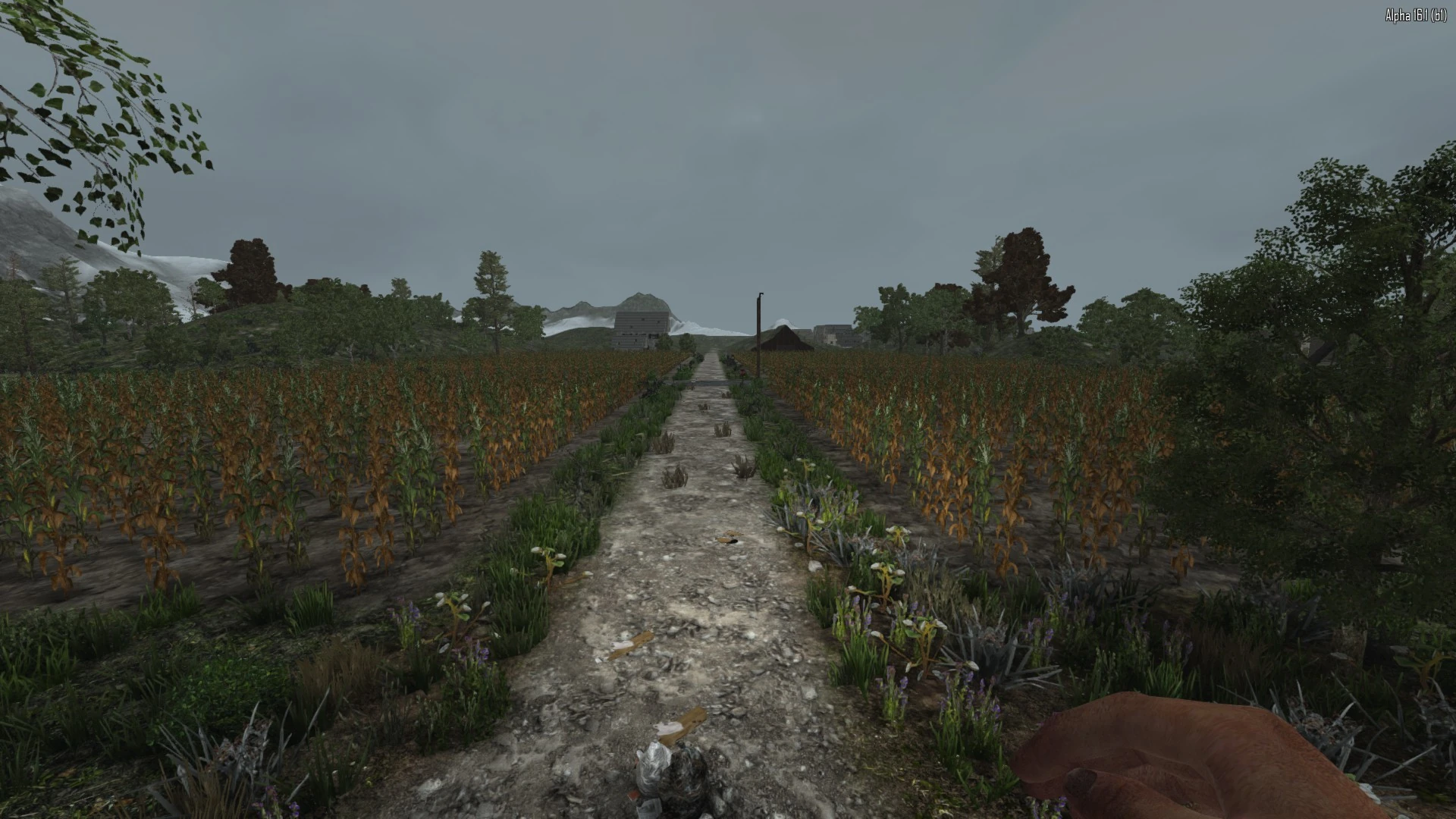 Ферма со стороны Coronado Rd