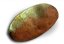 Potato