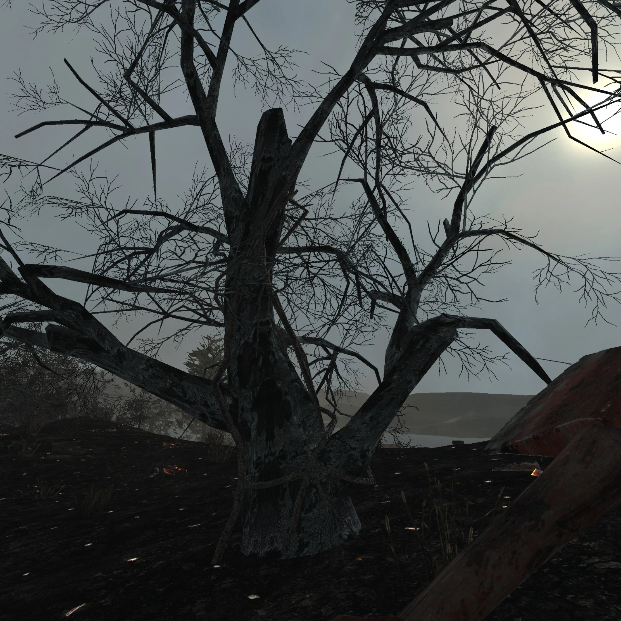 Дерево выжженное