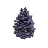 Scr 7dtd blueSpruceSeed