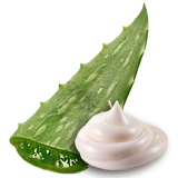 MedicalAloeCream