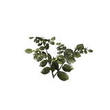 PlantedPotato3Harvest