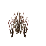 TreeForestGrassDiagonal