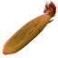 EarOfSuperCorn