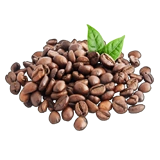 PlantedCoffee1