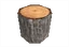 TrunkPine