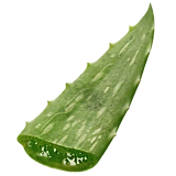 ResourceCropAloeLeaf