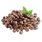 PlantedCoffee1