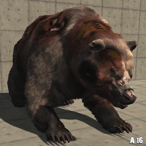 Zombie Bear