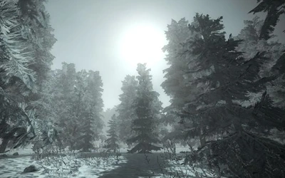 Заснеженный лес