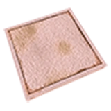 LooseBoardsTrapPlate1x1