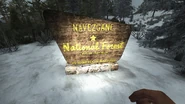 Navezgane National Forest 1853 N 298 E