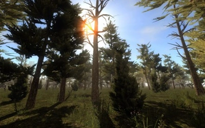 Сосновый лес