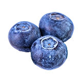 FoodCropBlueberries