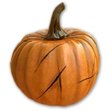 PlantedPumpkin3Harvest