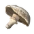 FoodCropMushrooms