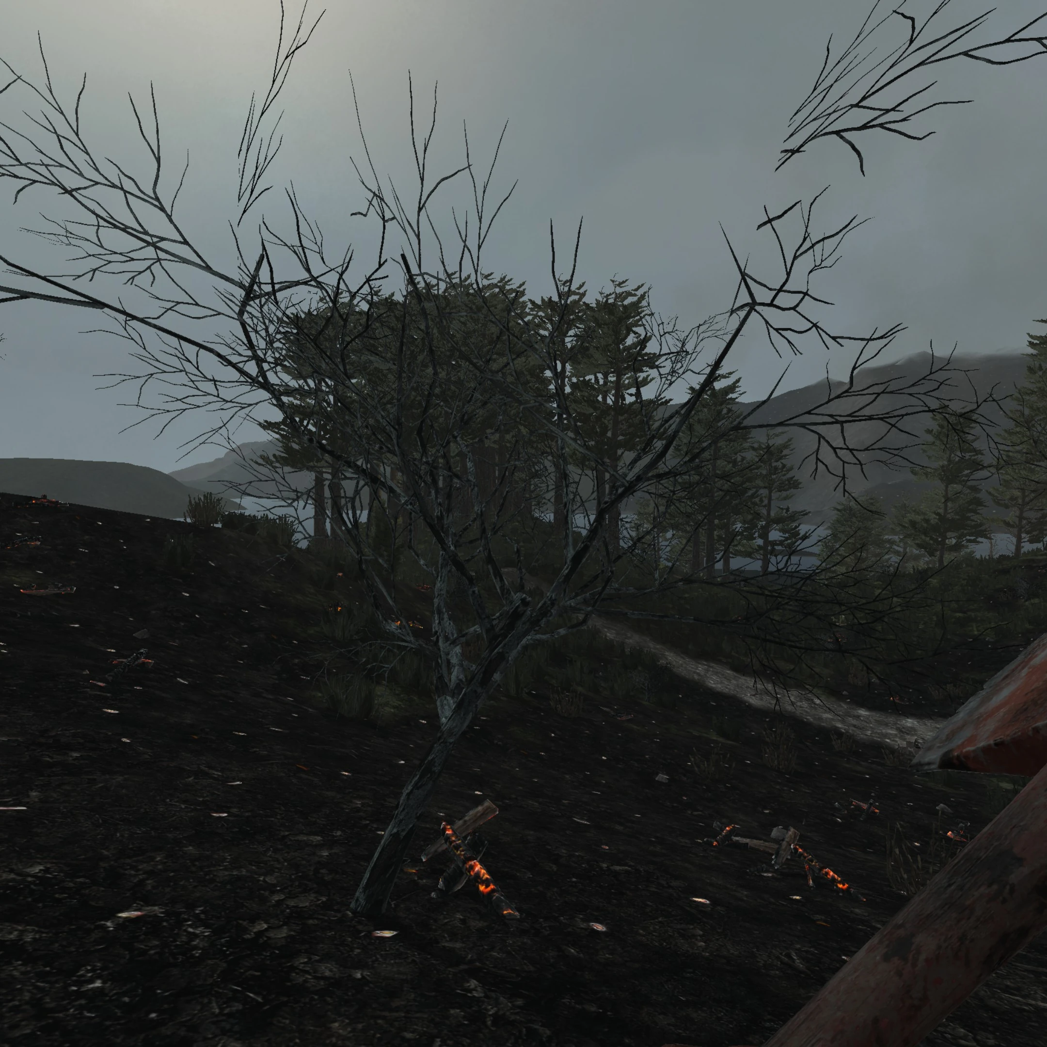 Дерево выжженное малое