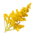 ResourceCropGoldenrodPlant