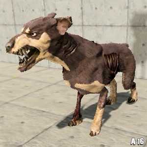 Zombie Dog