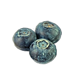 7dtd tmp Snowberries