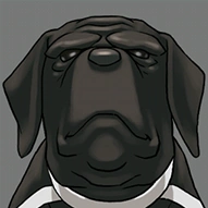 Black dog HD
