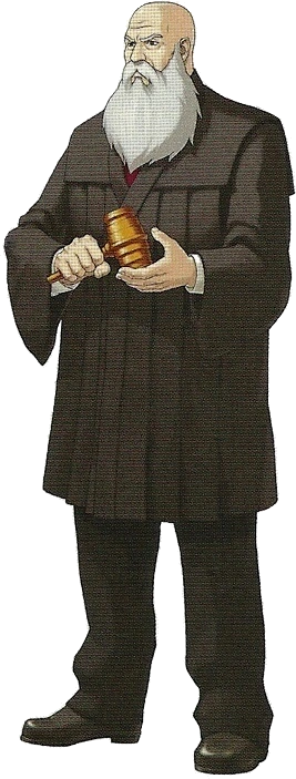 Судья в 2012 году.