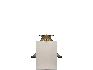 Держит документ