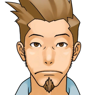 Как охранник.