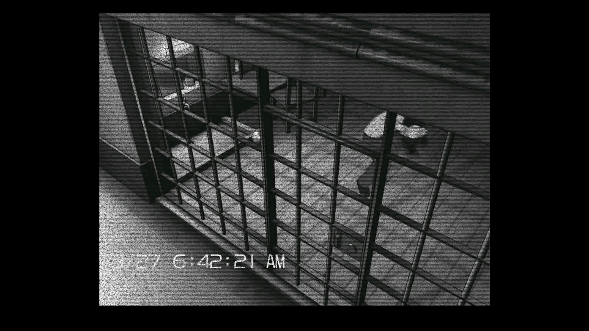 Попавший на камеру Тедди.