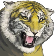 Phoenix Wright: Ace Attorney Trilogy HD Цирковой поворот