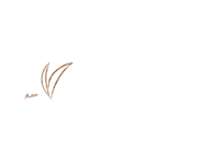 Прическа Аполло Джастиса (1)