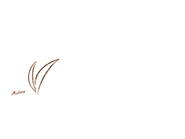 Прическа Аполло Джастиса (2)