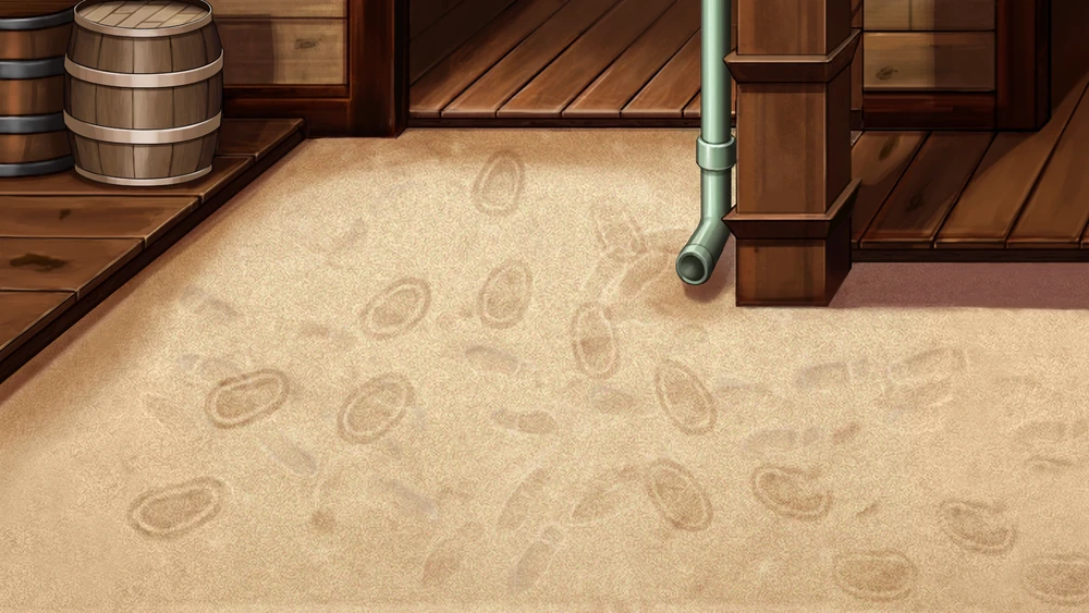 Следы на земле.