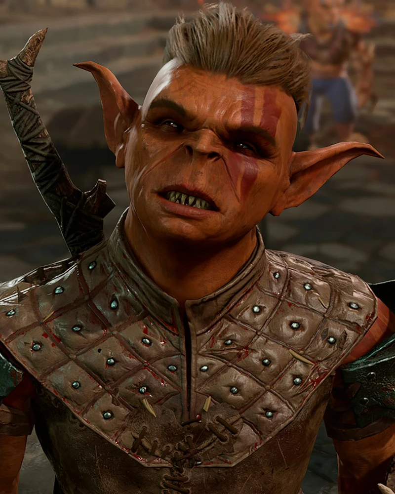 Драчун Гнилёк 