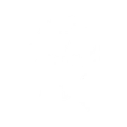 Иконка Полуэльф Раса