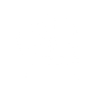 Иконка Предыстория Ремесленник