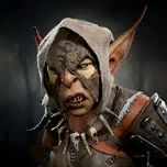 Драчунья Бирке портрет