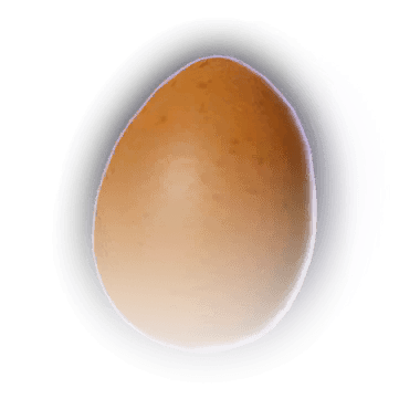 Куриное яйцо