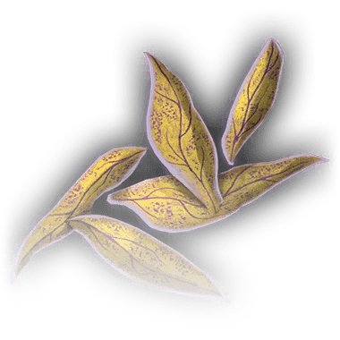 Yellow Musk Creeper Petals Icon