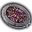 Vitriol of Divine Miasma Item Icon