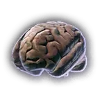 Intellect Devourer Cerebellum Item Icon