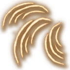 Мультиатака 2