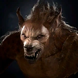 Тимоти портрет