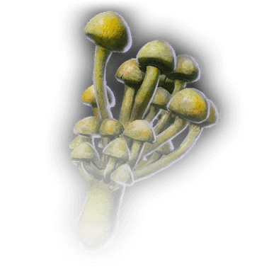 Swarming Toadstool Icon