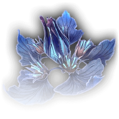 Цветок суссура