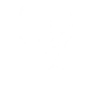 Раса Дроу Иконка