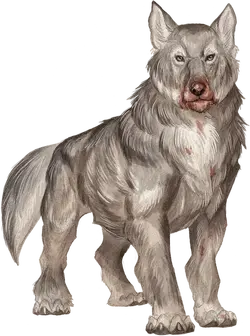 Cragmaw-wolf
